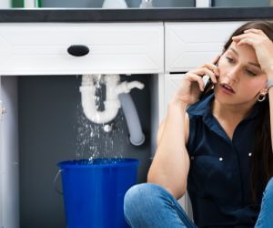About Emergency plumbing pros Negley, OH